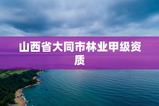 山西省大同市林业甲级资质