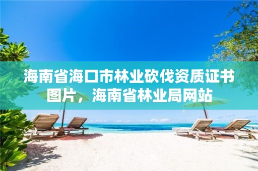 海南省海口市林业砍伐资质证书图片，海南省林业局网站