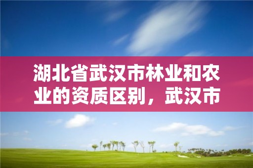 湖北省武汉市林业和农业的资质区别，武汉市农业局林业局物资站