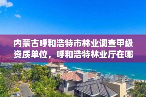 内蒙古呼和浩特市林业调查甲级资质单位，呼和浩特林业厅在哪