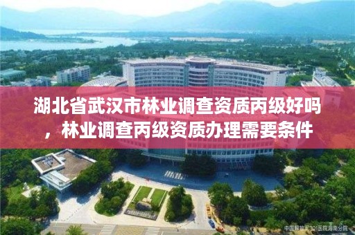 湖北省武汉市林业调查资质丙级好吗，林业调查丙级资质办理需要条件