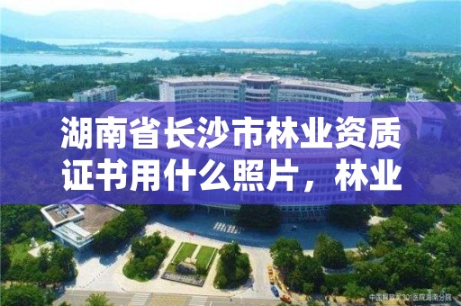 湖南省长沙市林业资质证书用什么照片，林业资质证书怎么办理?