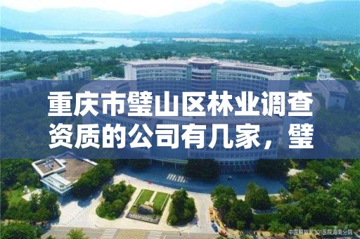 重庆市璧山区林业调查资质的公司有几家，璧山林业局班子成员