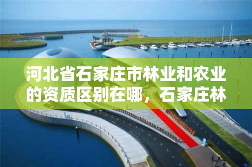 河北省石家庄市林业和农业的资质区别在哪，石家庄林业局在哪