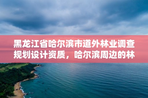 黑龙江省哈尔滨市道外林业调查规划设计资质，哈尔滨周边的林业局