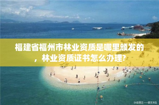 福建省福州市林业资质是哪里颁发的，林业资质证书怎么办理?