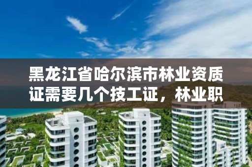 黑龙江省哈尔滨市林业资质证需要几个技工证，林业职业资格证书有哪些