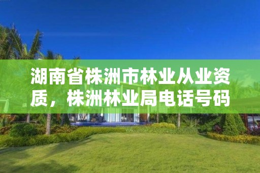 湖南省株洲市林业从业资质，株洲林业局电话号码