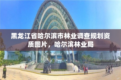 黑龙江省哈尔滨市林业调查规划资质图片，哈尔滨林业局