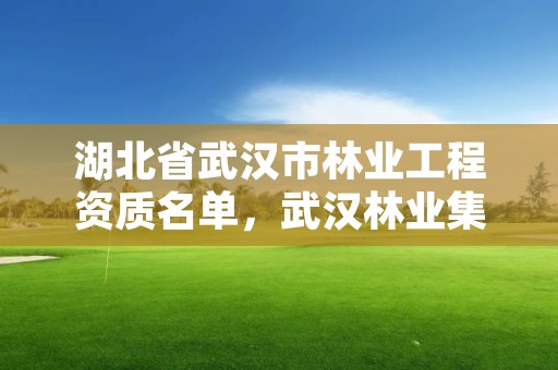 湖北省武汉市林业工程资质名单，武汉林业集团是国企吗