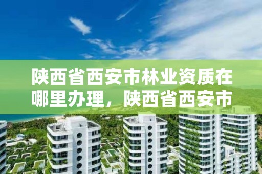 陕西省西安市林业资质在哪里办理，陕西省西安市林业局电话