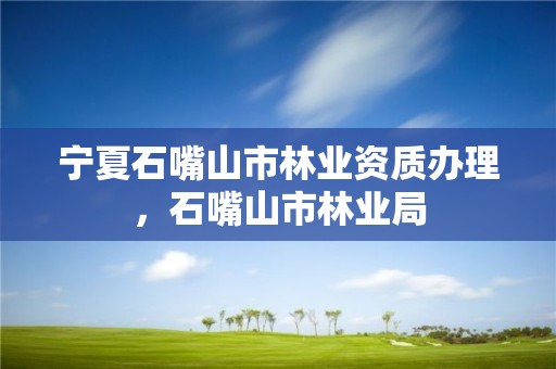 宁夏石嘴山市林业资质办理，石嘴山市林业局