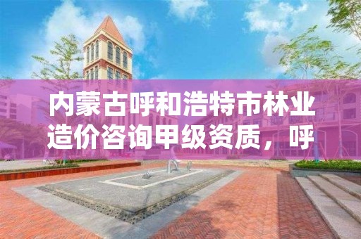 内蒙古呼和浩特市林业造价咨询甲级资质，呼和浩特市园林绿化公司