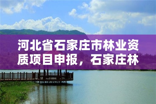 河北省石家庄市林业资质项目申报，石家庄林业局电话号码