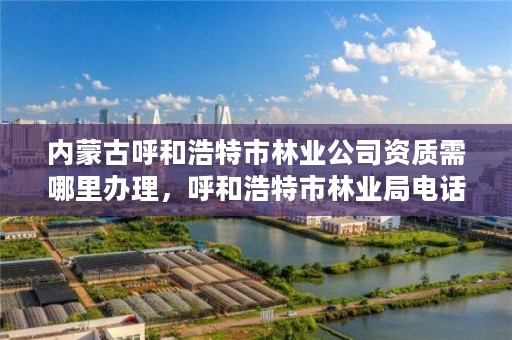 内蒙古呼和浩特市林业公司资质需哪里办理，呼和浩特市林业局电话号码