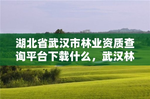 湖北省武汉市林业资质查询平台下载什么，武汉林业部门电话