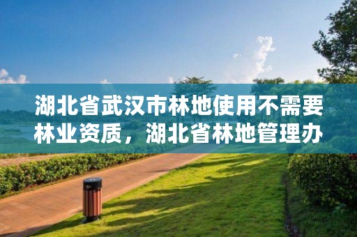 湖北省武汉市林地使用不需要林业资质，湖北省林地管理办法