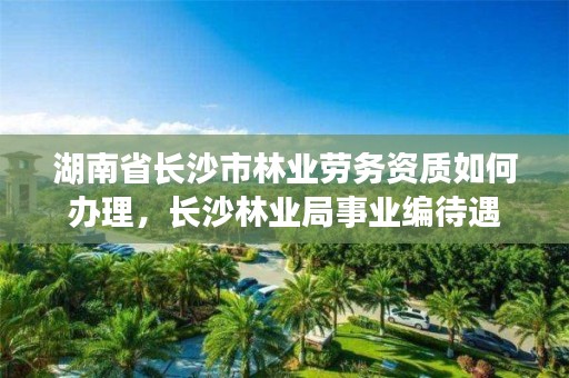 湖南省长沙市林业劳务资质如何办理，长沙林业局事业编待遇