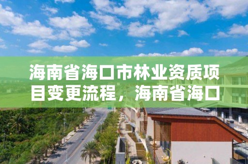 海南省海口市林业资质项目变更流程，海南省海口市林业资质项目变更流程图