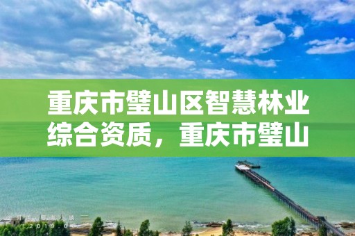 重庆市璧山区智慧林业综合资质，重庆市璧山区智慧林业综合资质办理