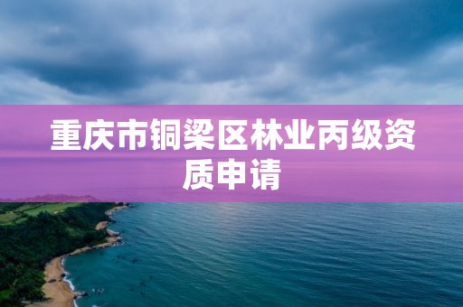 重庆市铜梁区林业丙级资质申请