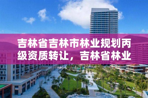 吉林省吉林市林业规划丙级资质转让，吉林省林业政策放宽