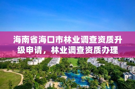 海南省海口市林业调查资质升级申请，林业调查资质办理