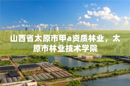 山西省太原市甲a资质林业，太原市林业技术学院