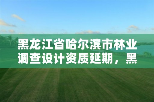 黑龙江省哈尔滨市林业调查设计资质延期，黑龙江省林业调查规划院