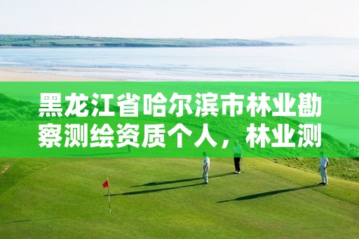 黑龙江省哈尔滨市林业勘察测绘资质个人，林业测绘资质哪里办理