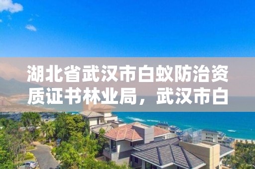 湖北省武汉市白蚁防治资质证书林业局，武汉市白蚁防治研究所电话