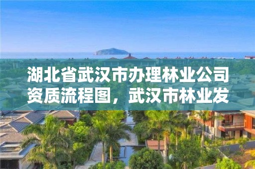 湖北省武汉市办理林业公司资质流程图，武汉市林业发展有限责任公司