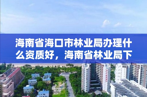 海南省海口市林业局办理什么资质好，海南省林业局下属单位