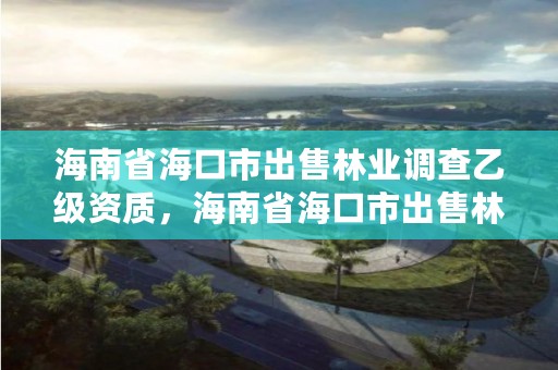 海南省海口市出售林业调查乙级资质，海南省海口市出售林业调查乙级资质企业