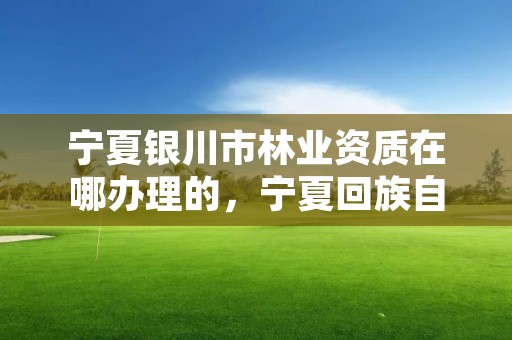 宁夏银川市林业资质在哪办理的，宁夏回族自治区国营银川林场