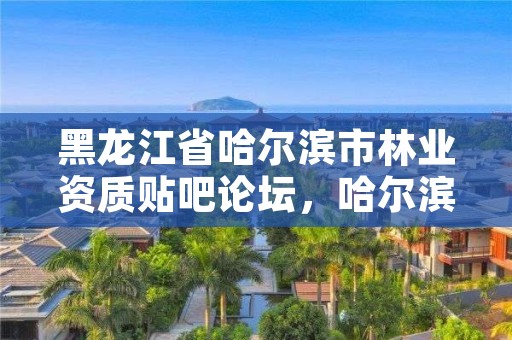 黑龙江省哈尔滨市林业资质贴吧论坛，哈尔滨林业厅官网