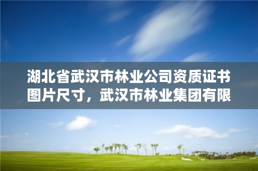 湖北省武汉市林业公司资质证书图片尺寸，武汉市林业集团有限公司