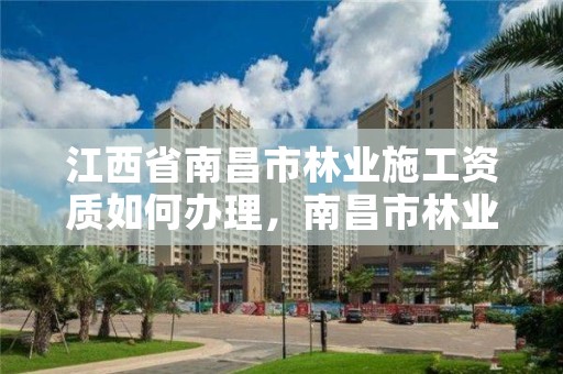 江西省南昌市林业施工资质如何办理，南昌市林业综合服务中心