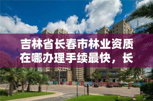 吉林省长春市林业资质在哪办理手续最快，长春林业局地址