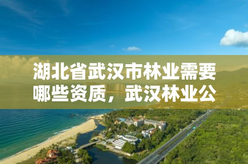 湖北省武汉市林业需要哪些资质，武汉林业公司有哪些