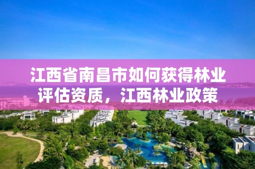 江西省南昌市如何获得林业评估资质，江西林业政策