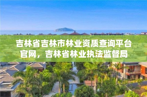 吉林省吉林市林业资质查询平台官网，吉林省林业执法监督局