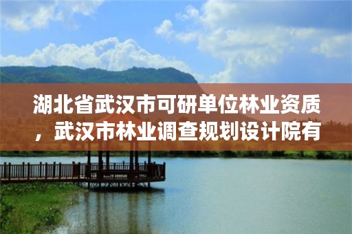 湖北省武汉市可研单位林业资质，武汉市林业调查规划设计院有限公司