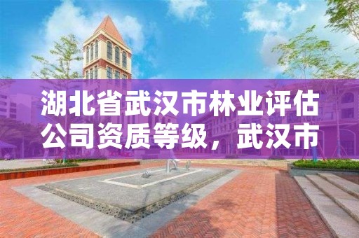 湖北省武汉市林业评估公司资质等级，武汉市林业调查规划设计院有限公司