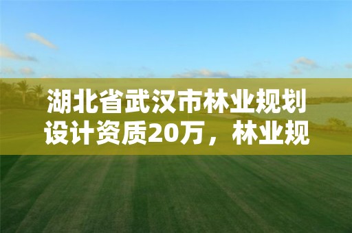 湖北省武汉市林业规划设计资质20万，林业规划设计公司