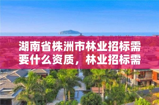 湖南省株洲市林业招标需要什么资质，林业招标需要哪些材料