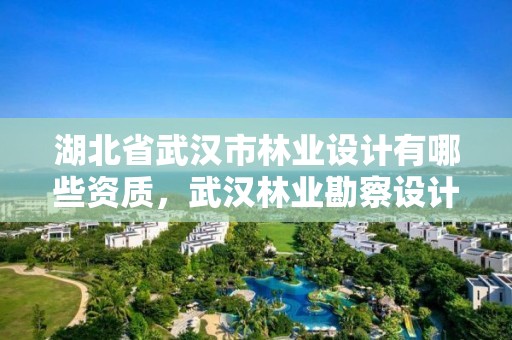 湖北省武汉市林业设计有哪些资质，武汉林业勘察设计院