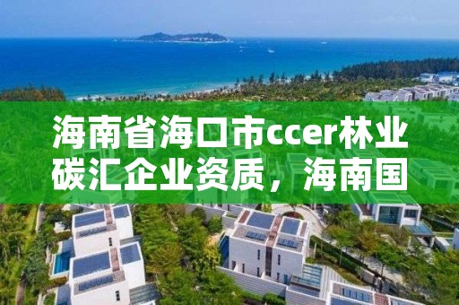 海南省海口市ccer林业碳汇企业资质，海南国际碳排放权交易所