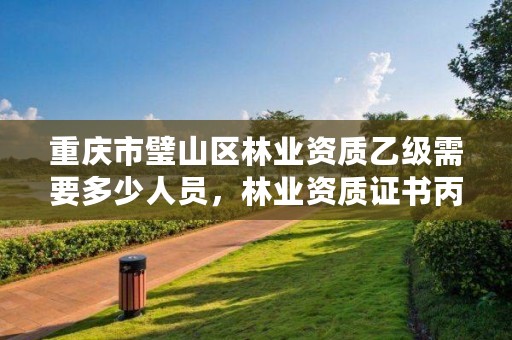 重庆市璧山区林业资质乙级需要多少人员，林业资质证书丙级