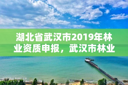 湖北省武汉市2019年林业资质申报，武汉市林业调查规划设计有限公司